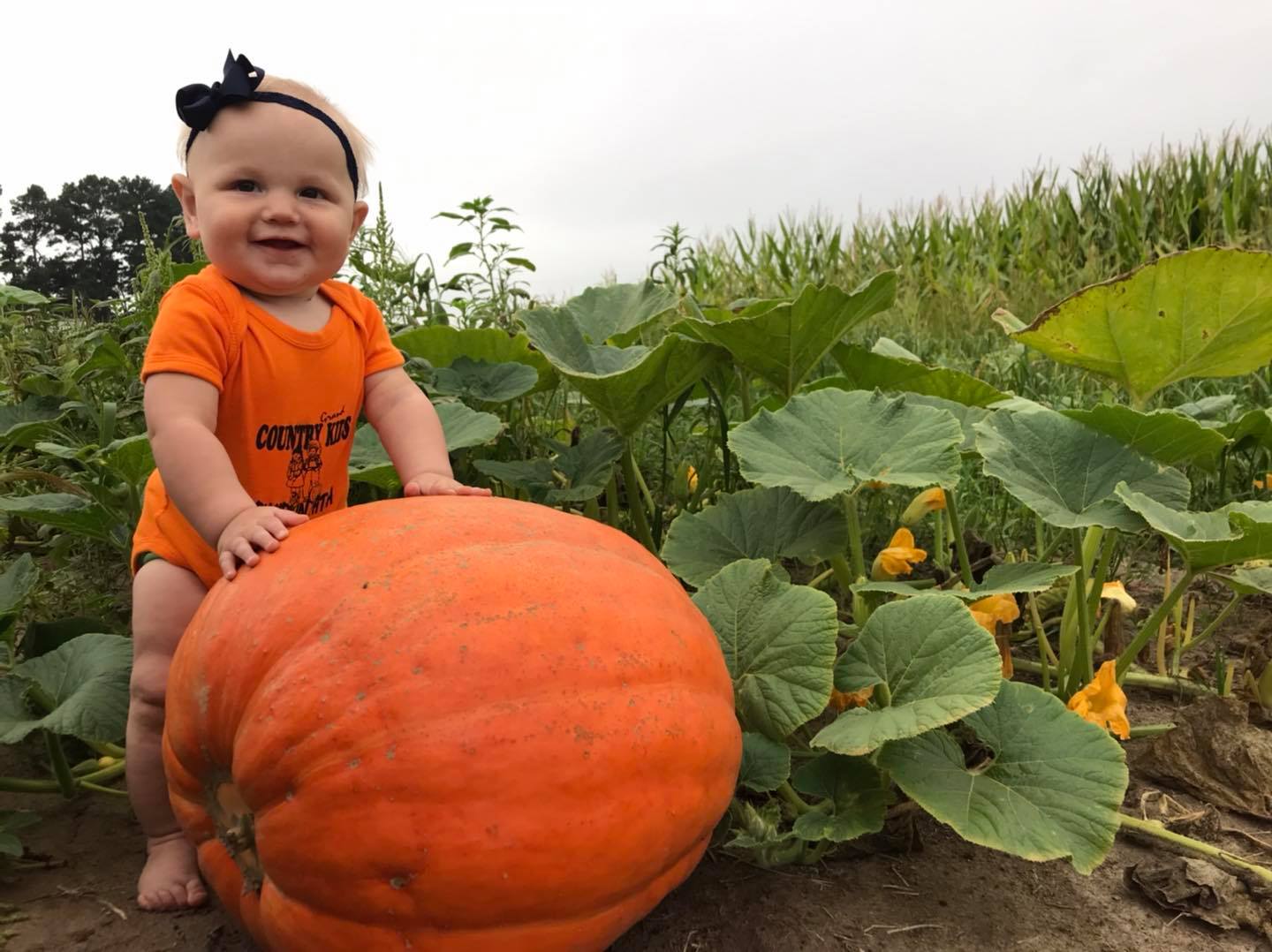 Downstate Illinois Road Trip Roundup - Agritourism Adventures